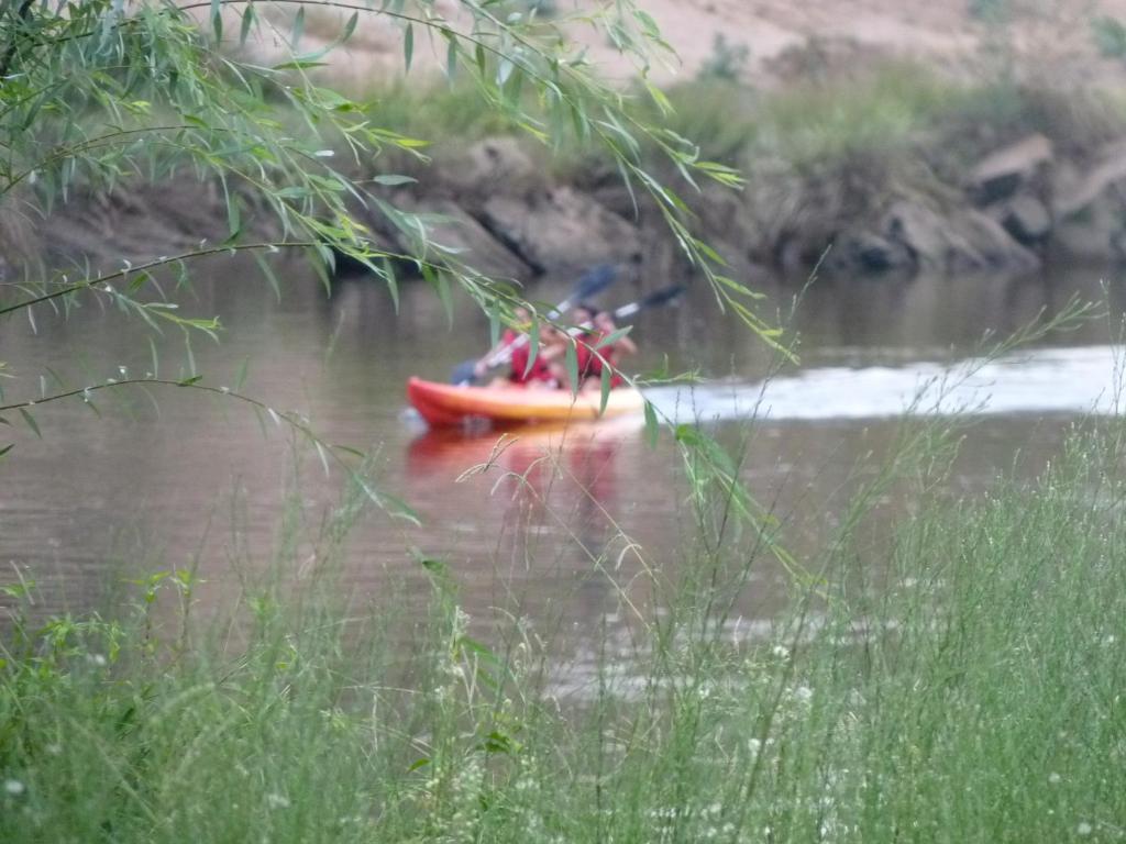 Hotel Beira Rio Mértola Zewnętrze zdjęcie